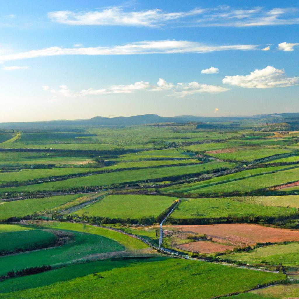 Panorama Atual da Pecuária Leiteira no Brasil
